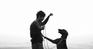 Read more about the article Online vs classroom PRINCE2 training